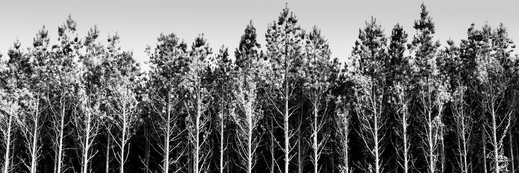 scott_littrell's profile banner image