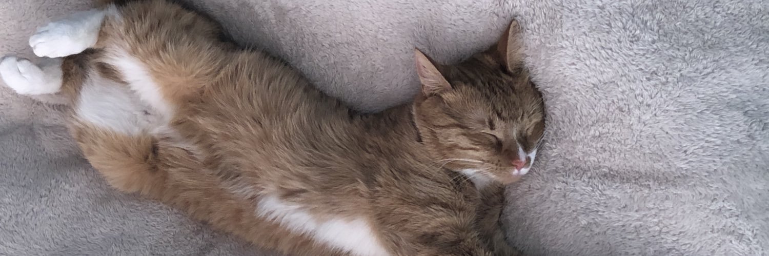 torisztapka's profile banner image