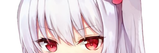Tylrnhbb24's profile banner image