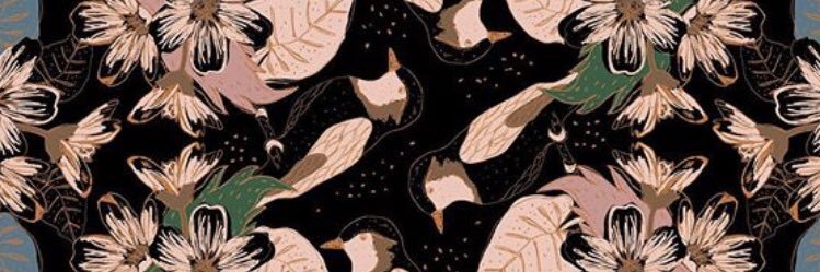 solcitoo ♛ banner