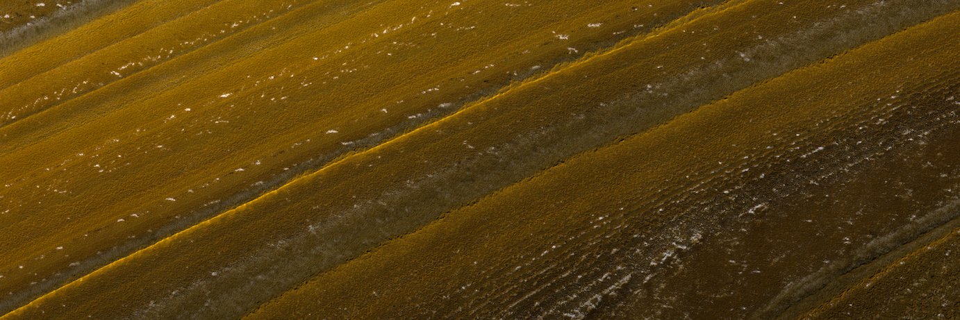 Ad Astra Academy banner