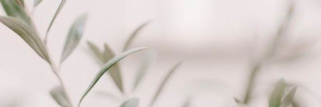 Leabrrn's profile banner image