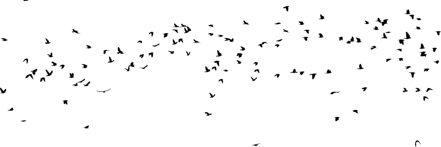 AuthorDreaming's profile banner image