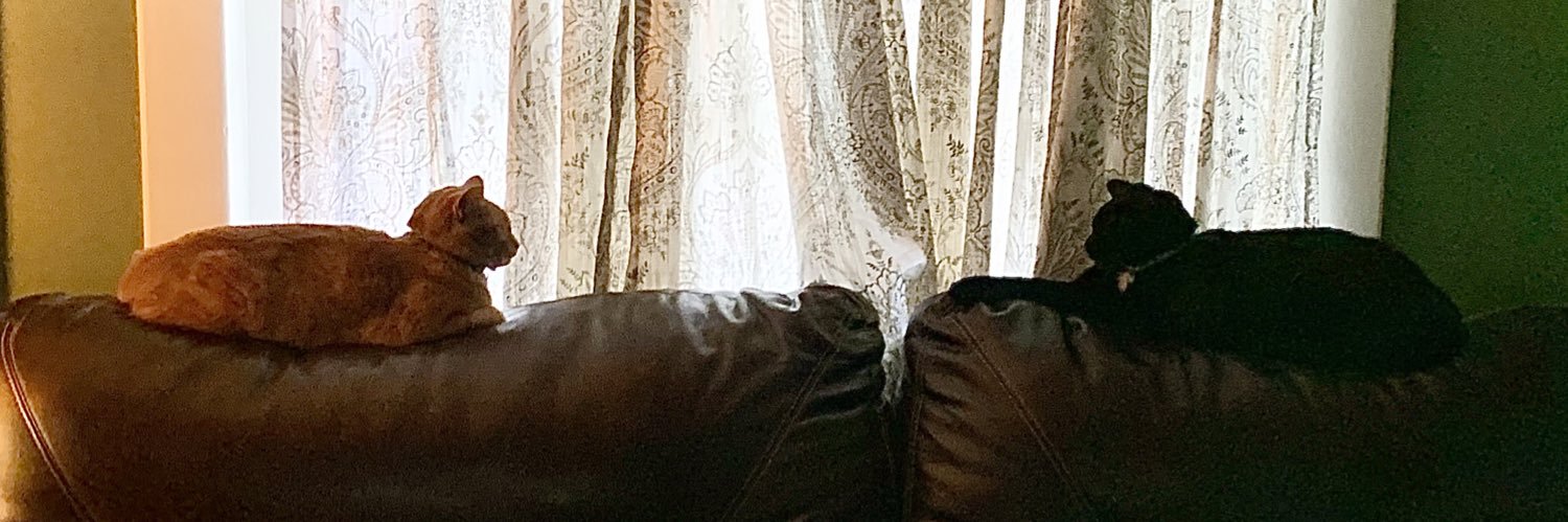 AustinLanich's profile banner image