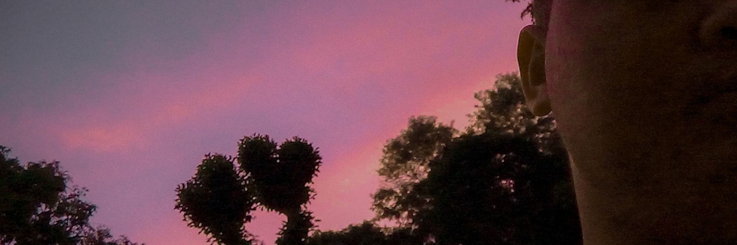 SatierfdeSurui's profile banner image