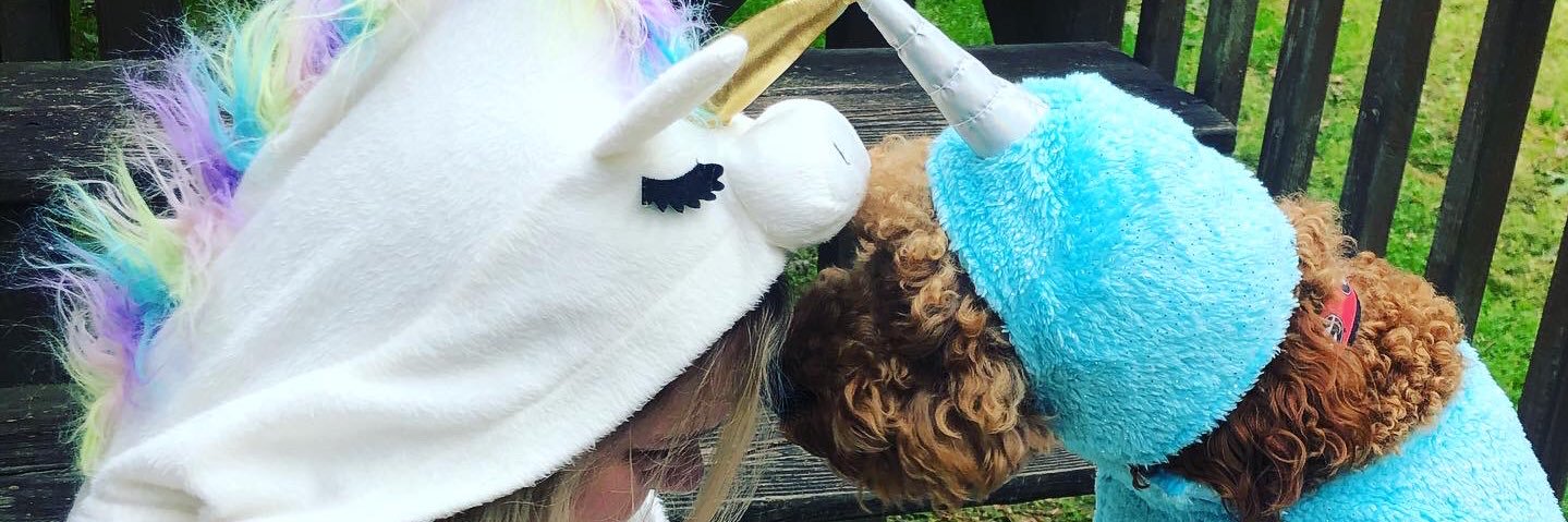 AllisonGriffeth's profile banner image