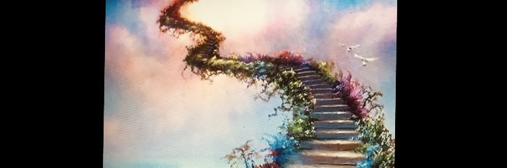 Mellowed_Outxo's profile banner image