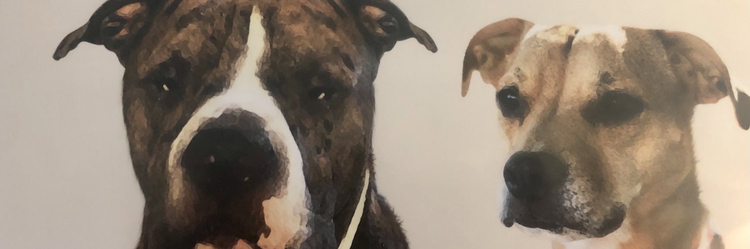 baileyjean__'s profile banner image