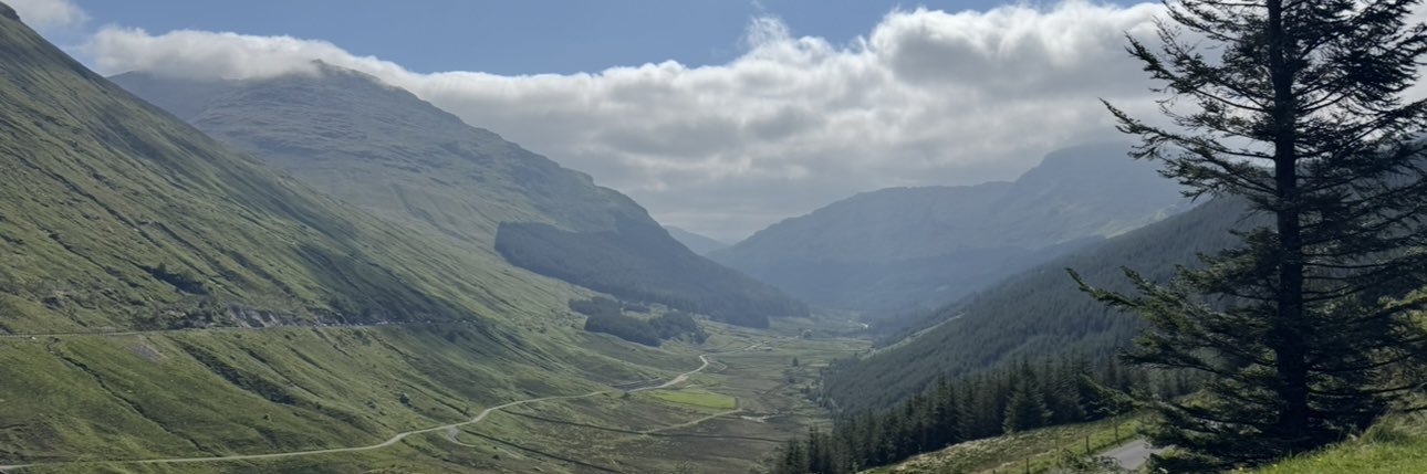 MOMMACAT818's profile banner image