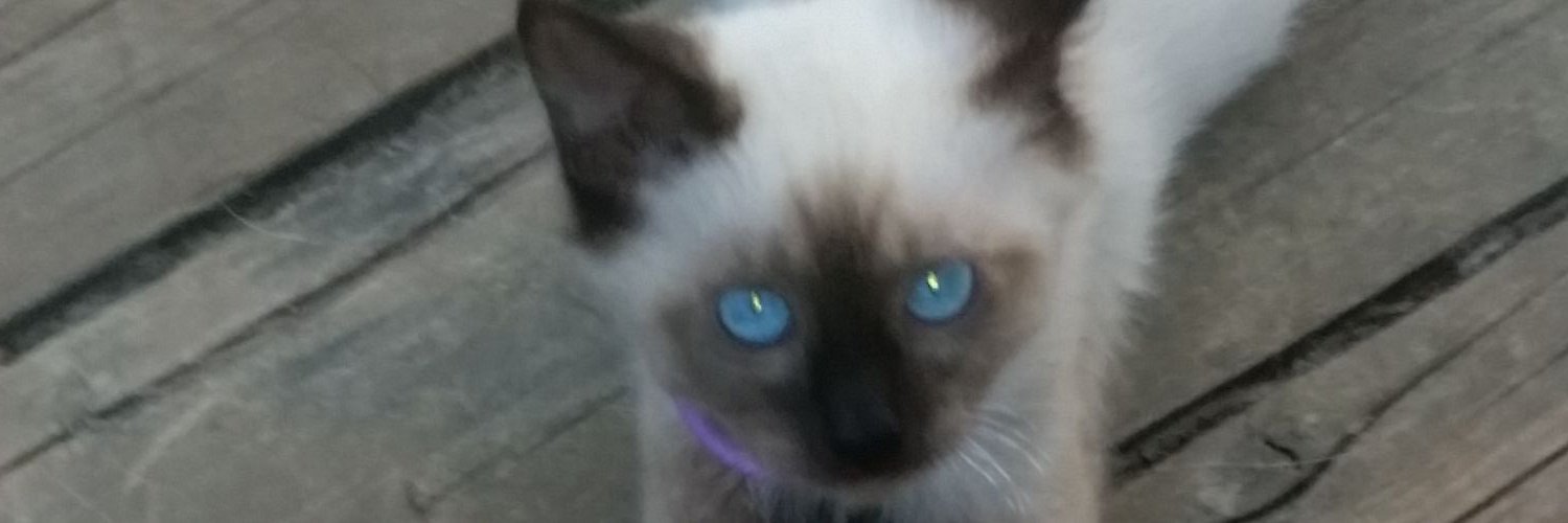 DiedrichColette's profile banner image