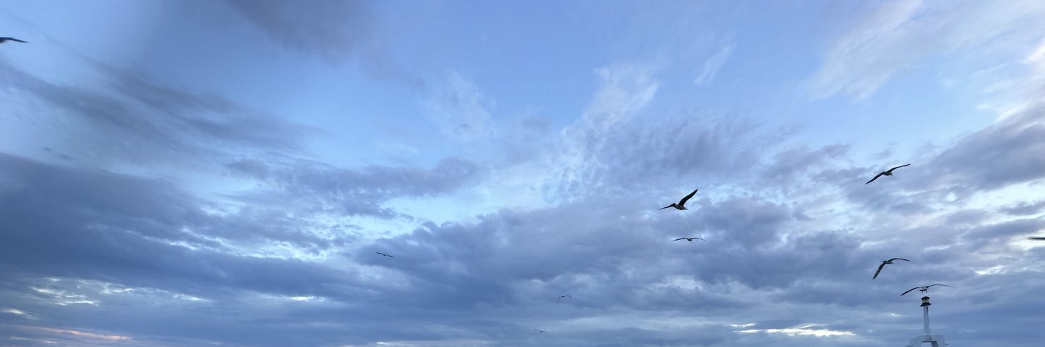 elvank's profile banner image