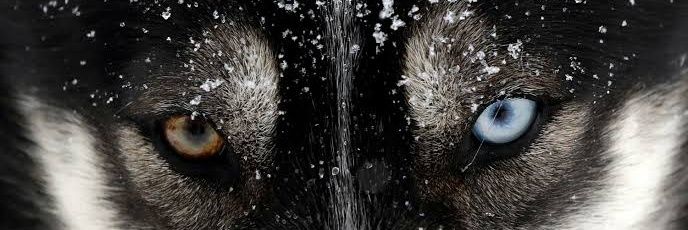 M_arifnaldi's profile banner image