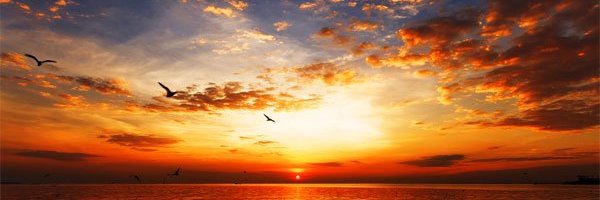 robfish12345's profile banner image
