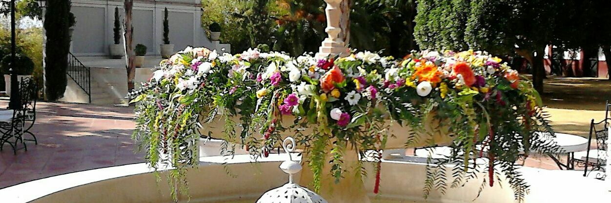 floresramitos's profile banner image