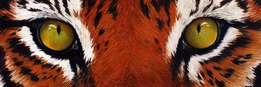 RHSTigerHoops's profile banner image