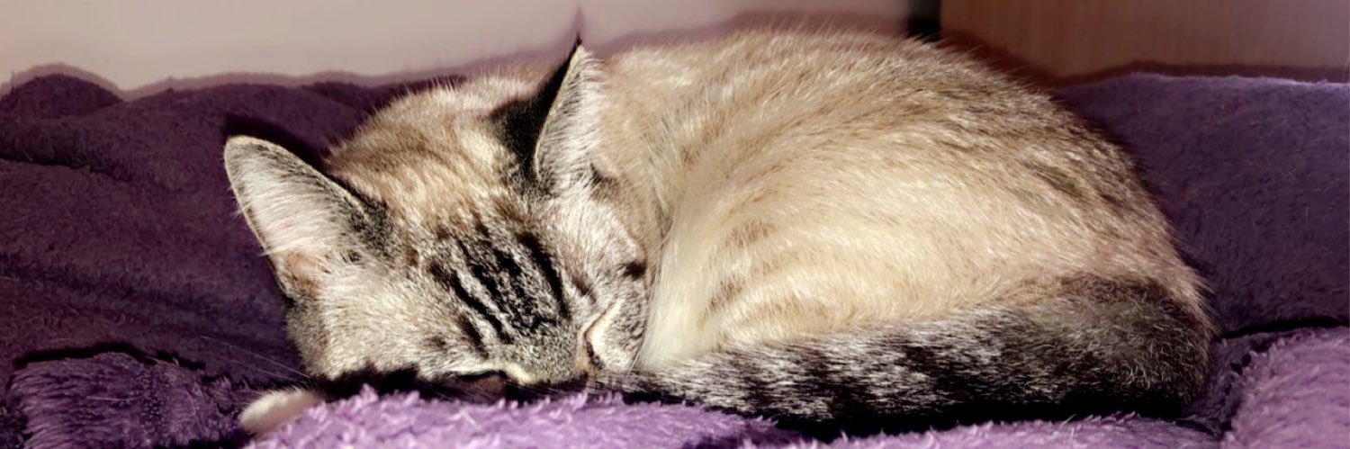 HaleyAlexandra4's profile banner image