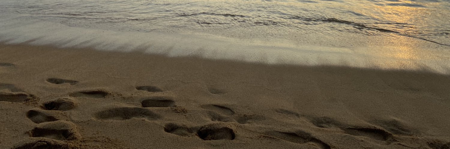 Daniel Mendoza banner