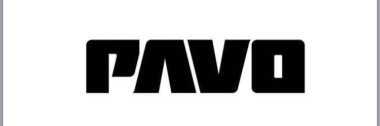 DJ P A V O banner