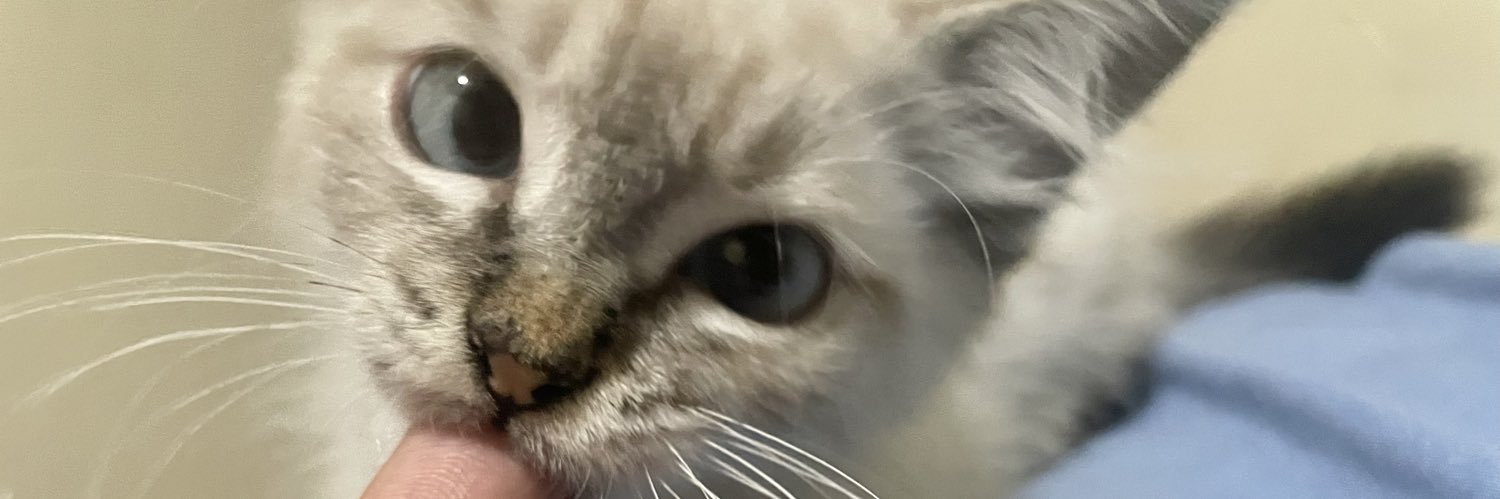 hehell4ry's profile banner image