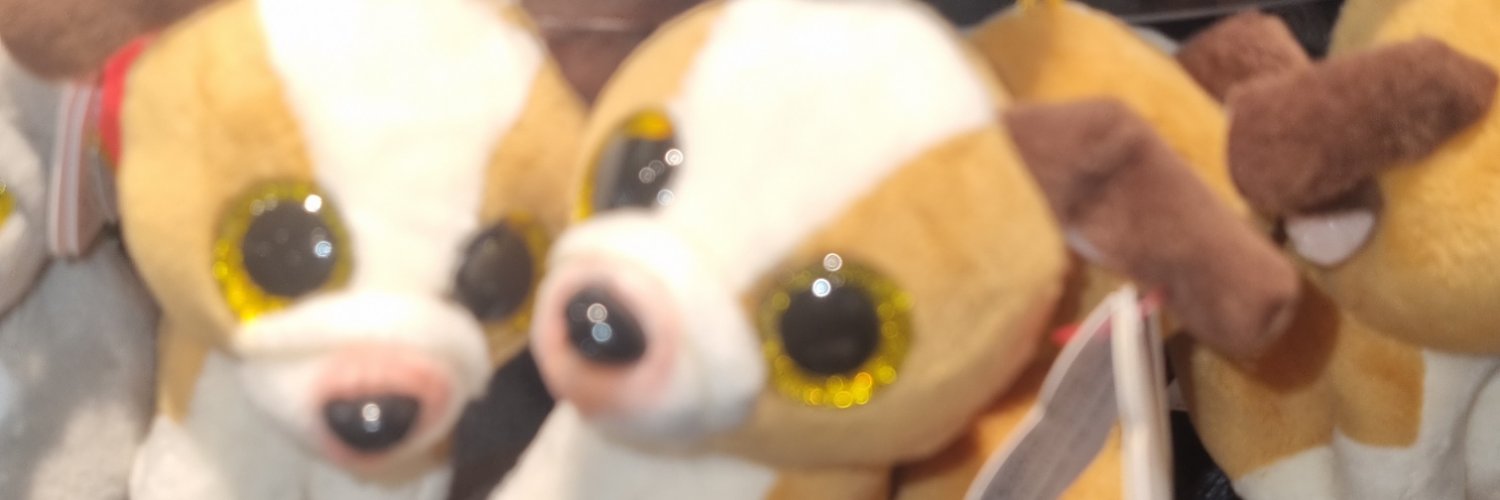 ginsauruss's profile banner image