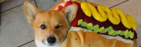 __Jeow's profile banner image