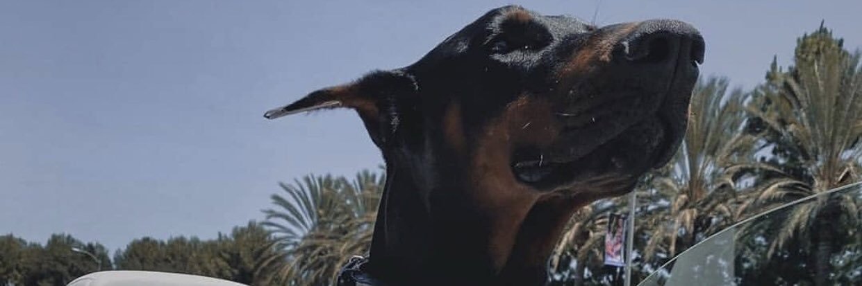 emmtayy's profile banner image