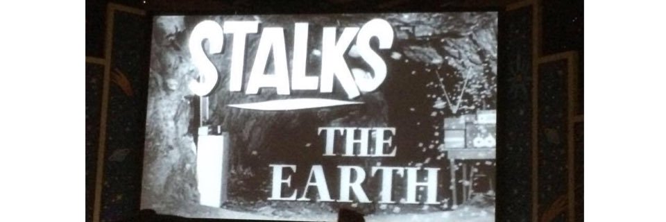 Stoaty McStoatface banner