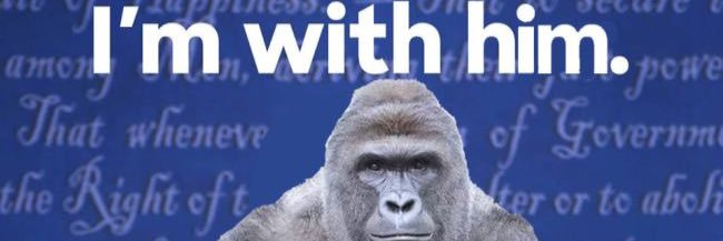 TSchnitz12's profile banner image