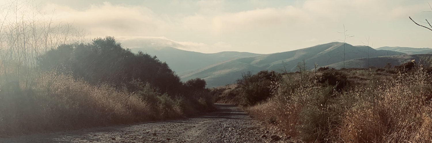CJHarding21's profile banner image