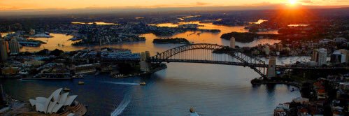 Sally Webster banner