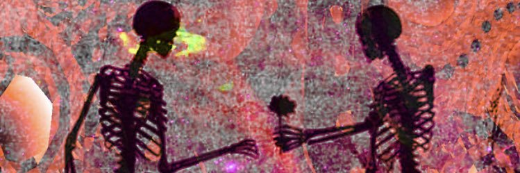 nipsss69's profile banner image