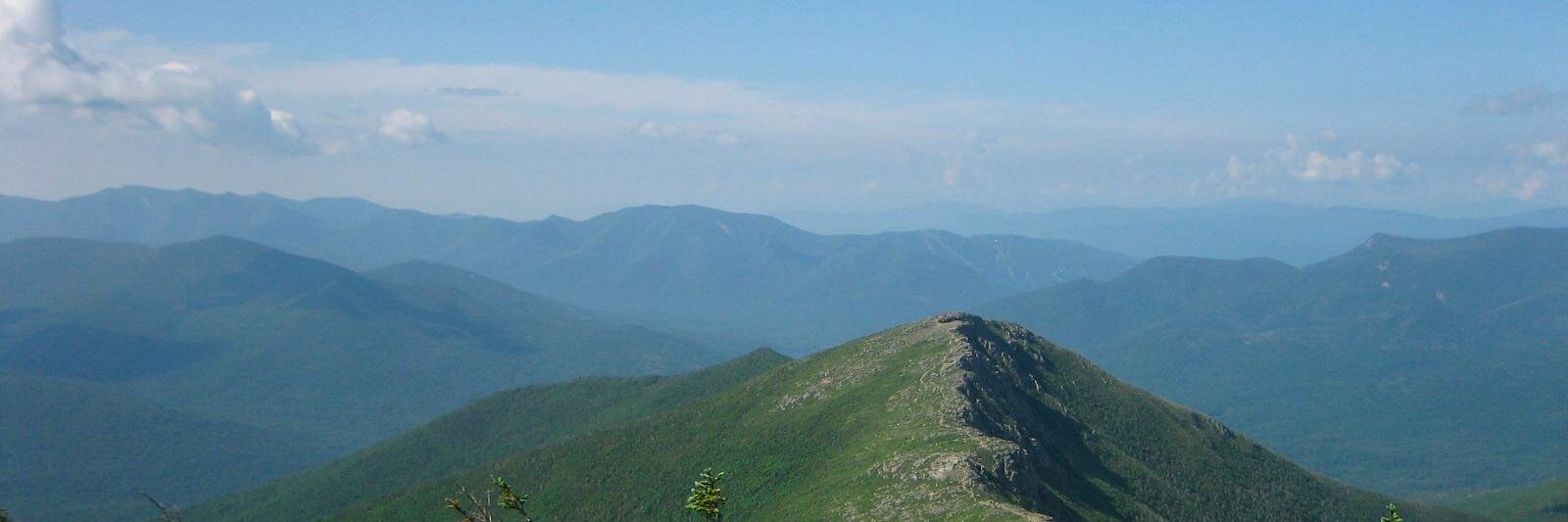 Lauren Lesser banner