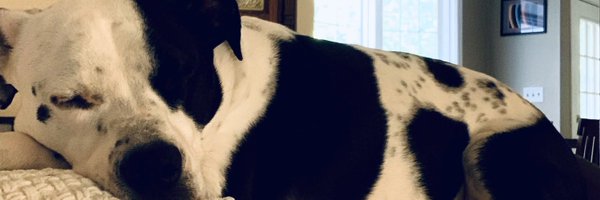 lizbryant112 Profile Banner
