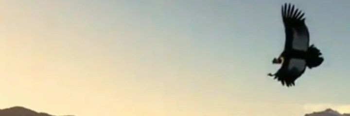 rustadi_s's profile banner image