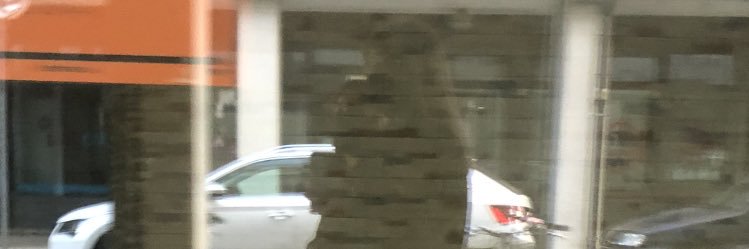 acquachia's profile banner image