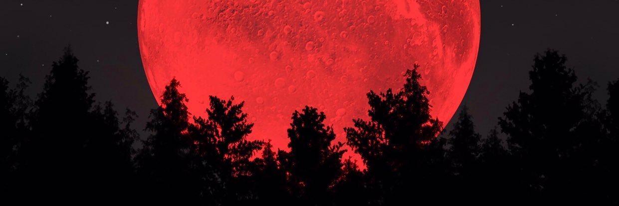 pomnych's profile banner image