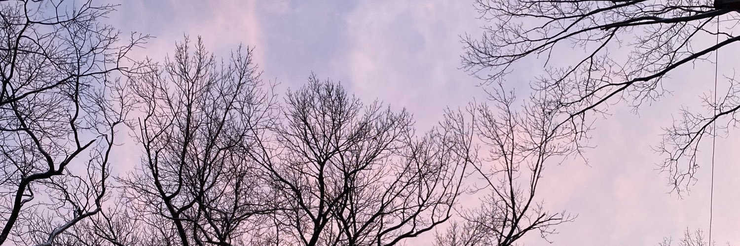 rdDubs_12's profile banner image