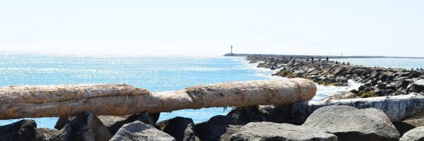 _molmonster Profile Banner