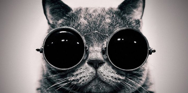ekin_ozsoy's profile banner image