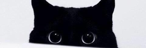 Chaayce's profile banner image