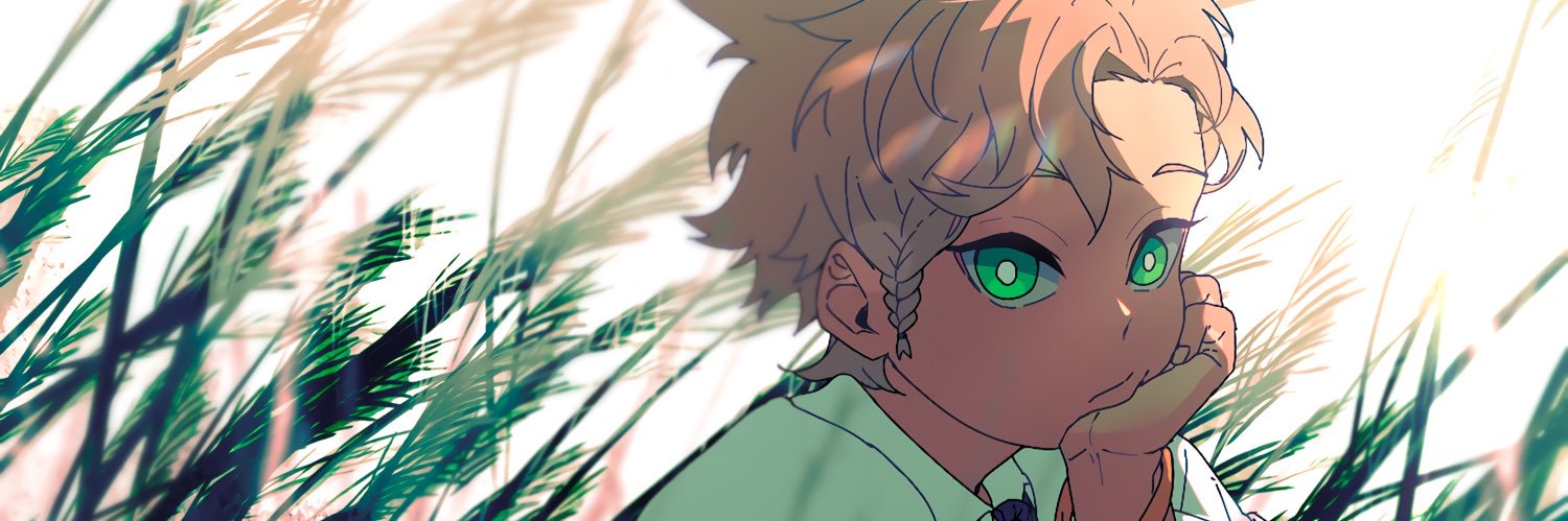 nesawa_'s profile banner image