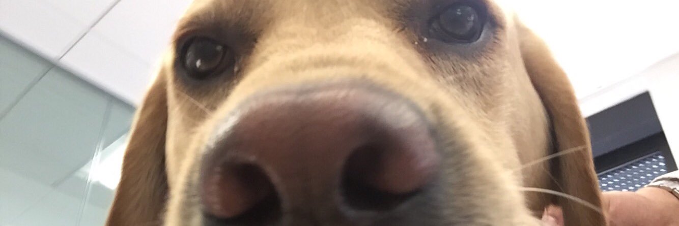 _alecmichael's profile banner image