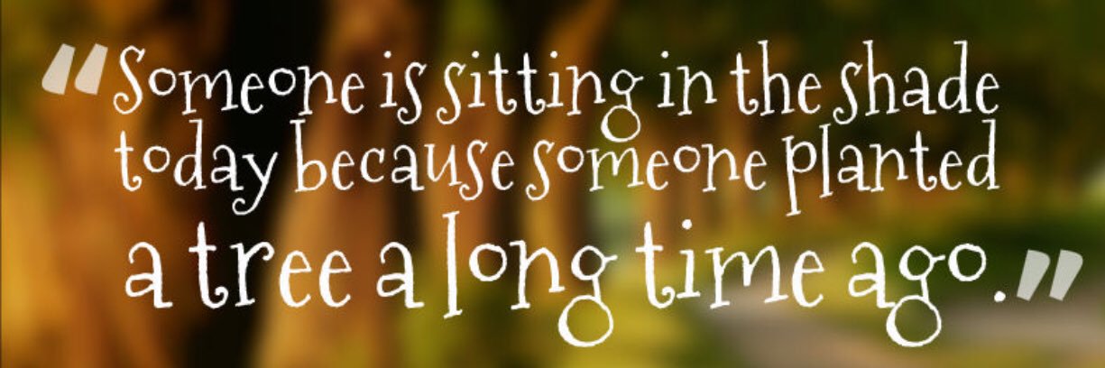 Katie Thompson banner