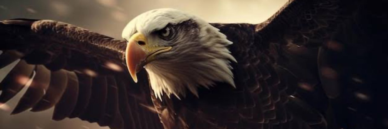 doism71's profile banner image