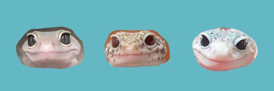 po__uzu's profile banner image