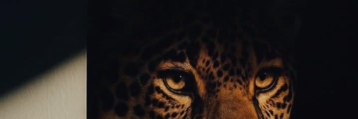 _wildsam's profile banner image