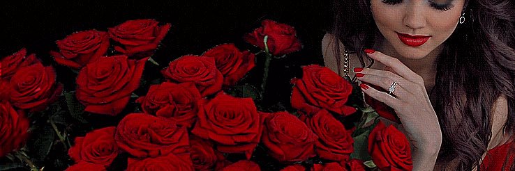 LRobertne's profile banner image