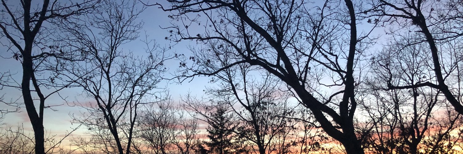 Rue3La's profile banner image