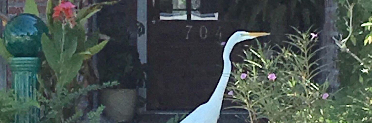 hillierart's profile banner image