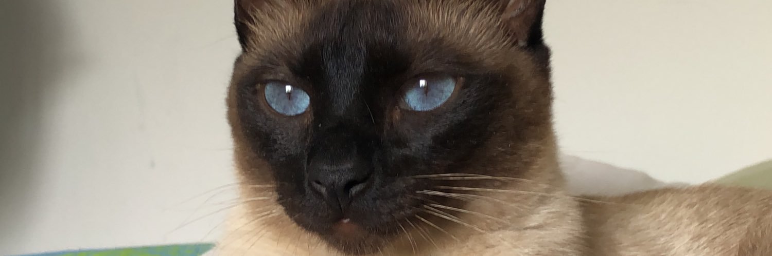valenchurches1's profile banner image